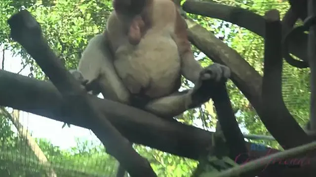 Jamie Marleigh is super happy to go to Singapore with you