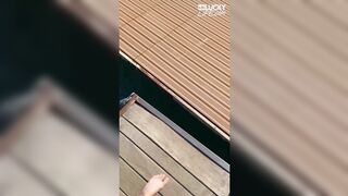 Clear Skys Blue Water With The Perfect Babe Angel Youngs