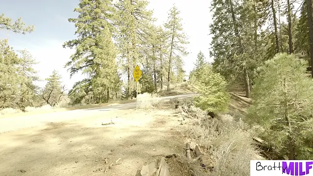 Alura Jenson is the seductive stepmom who turns her pathetic virgin